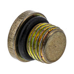 Drain Plug/ O Ring 3234499
