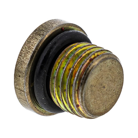 Drain Plug/ O Ring 3234499