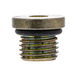 Drain Plug/ O Ring 3234499